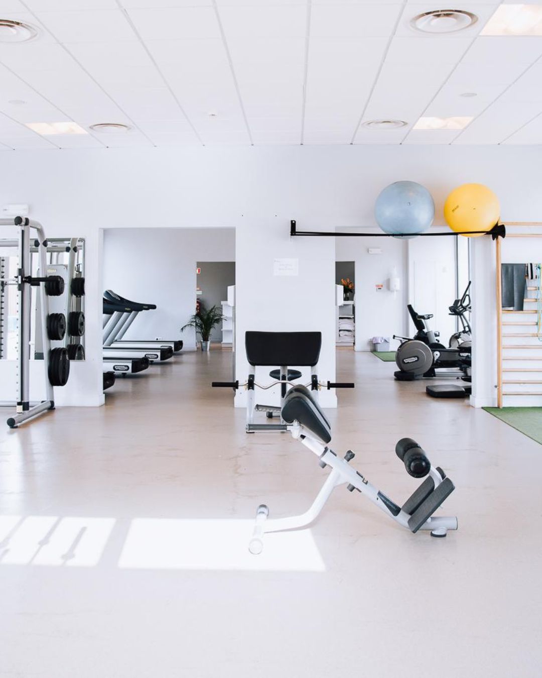 Sculptors - Fitness & Wellnes